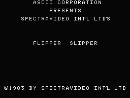 flipper slipper